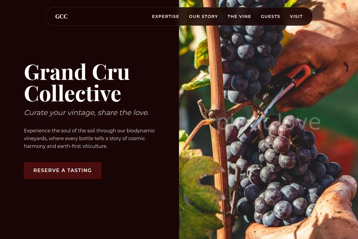 Biodynamic Vineyard