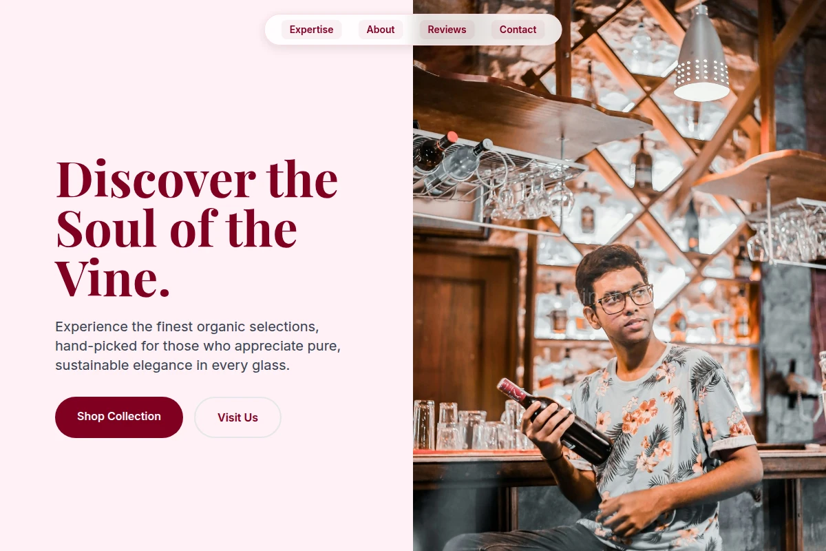 Organic Wine Store