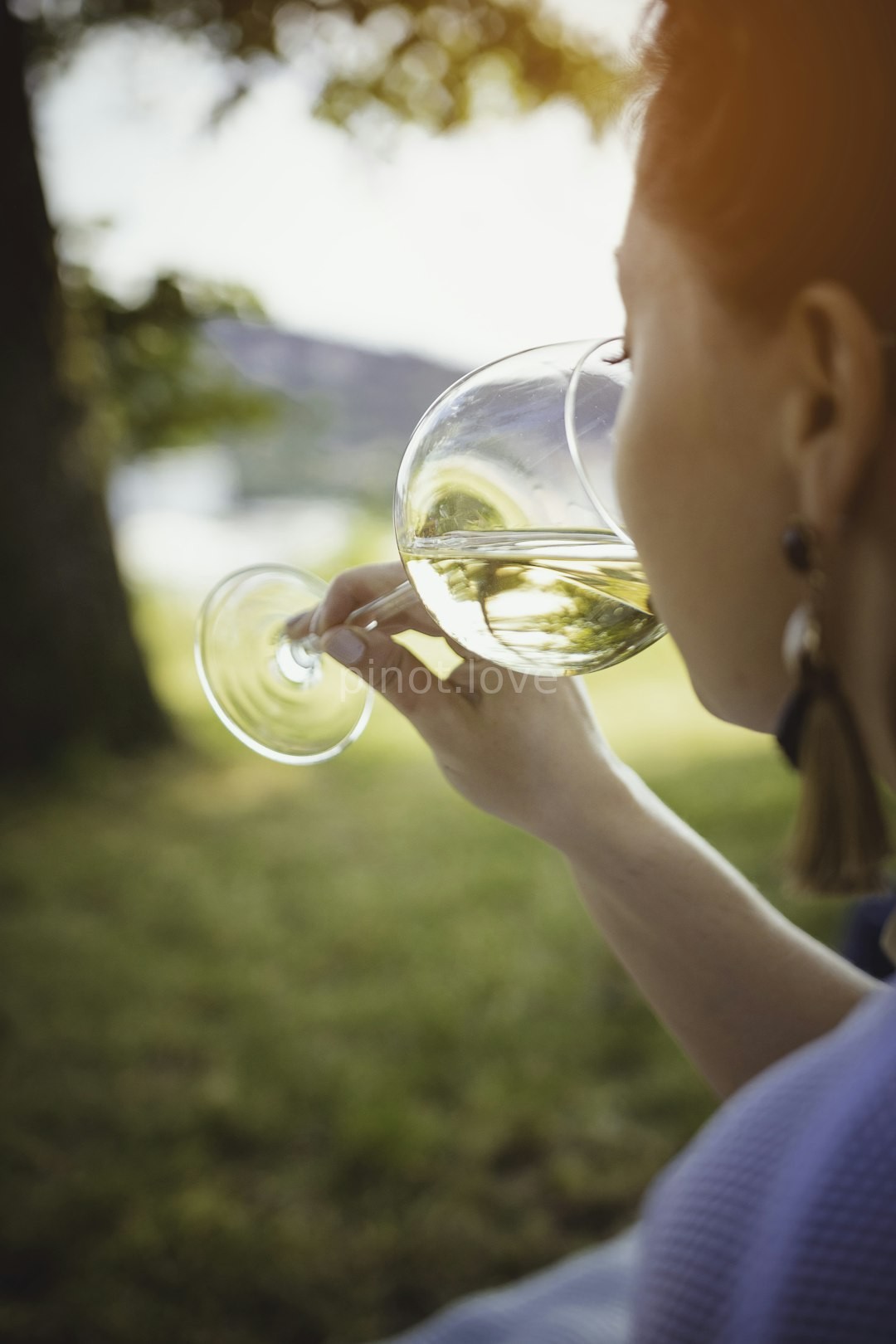 Wine Detail