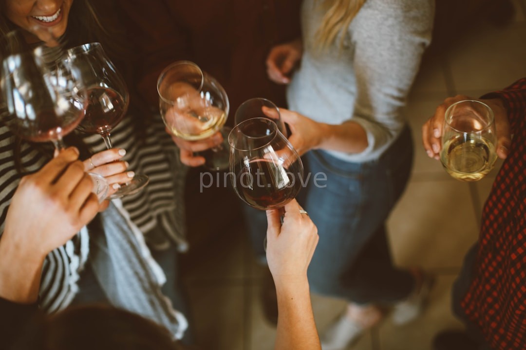 Vineyard