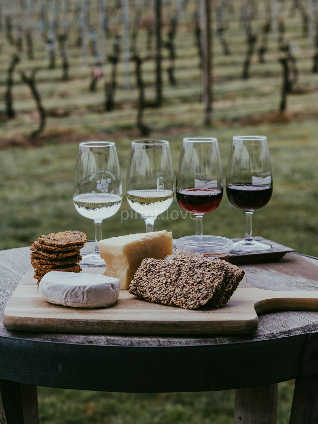 Vineyard Landscape