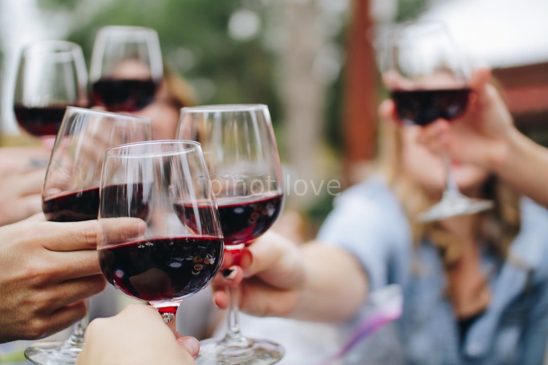Vineyard Reel 2